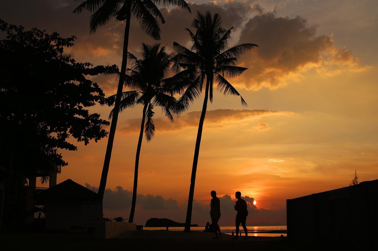 Palm trees silhouetted against a Koh Lanta sunset