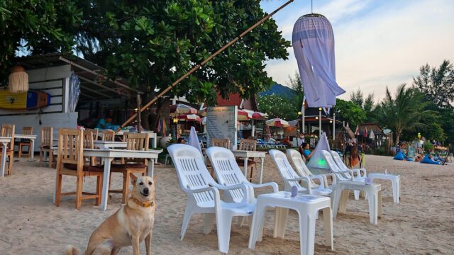 Breeze Restaurant & Bar - Italian & Pizza in Klong Dao Beach, Koh Lanta