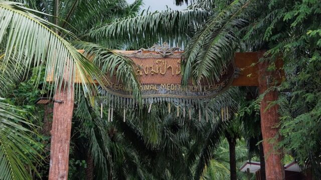 A narrow road lined with palm trees and a wooden archway leads into a lush, green area under a cloudy sky.