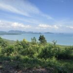 Jungle Safari Off Road Tour