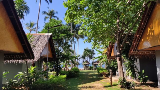 Small cottages line a lush path under tall palm trees, leading to a sunny beach with clear blue skies in the background.