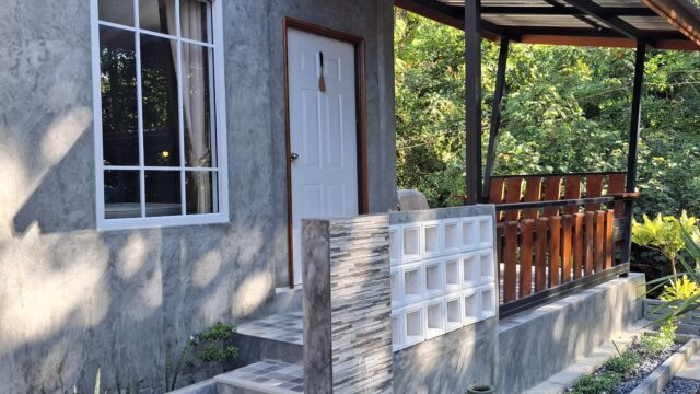 Small modern house with a gray concrete exterior, steps, white door, window, porch, potted plant, and greenery in the background.