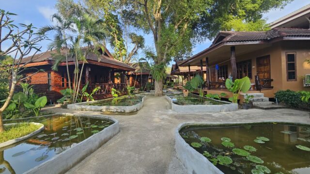 A peaceful garden with lily ponds, tropical plants, and wooden houses set beneath tall, shady trees.