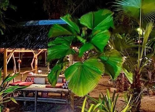 Leaf House Bungalows - Bungalows & Beach Huts in Long Beach (Phra Ae), Koh Lanta
