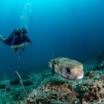 Local Lanta Scuba