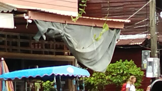 Row of parked scooters in front of wooden buildings, with a blue awning and greenery, and a woman walking nearby.