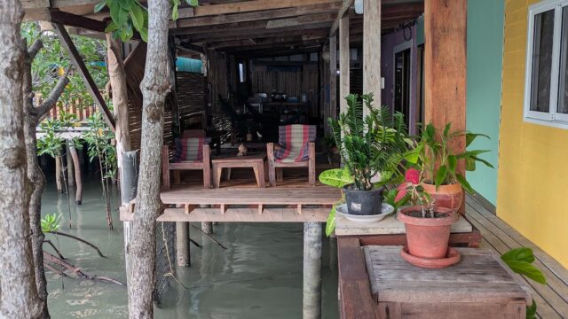 Wooden deck over water with potted plants, chairs, and mangrove trees growing through the structure.
