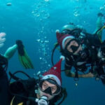 Palm Beach Divers