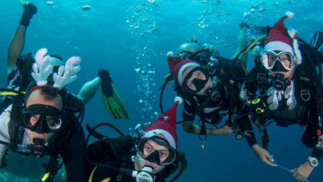 Palm Beach Divers - Diving & Snorkelling in Long Beach (Phra Ae), Koh Lanta