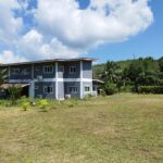 Palm Garden House