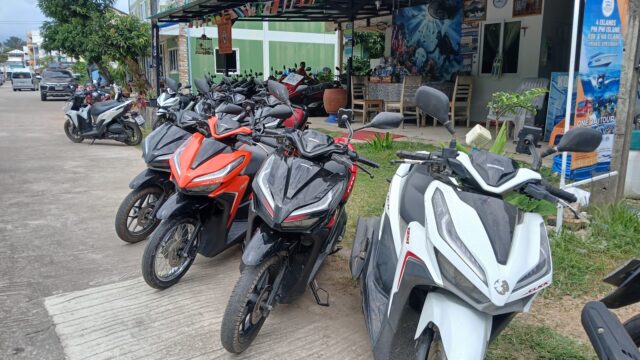 The Lion Travel & Tour - Motorbike & Scooter Rental in Ban Saladan (Sala Dan), Koh Lanta