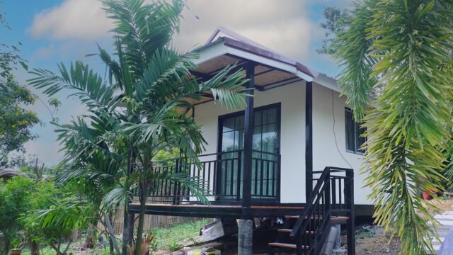 A small elevated house with a porch and stairs, surrounded by tropical plants and paint cans on the ground.