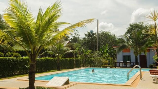 Sunny day at a small outdoor pool with palm trees, greenery, and a building in the background. One person is swimming.